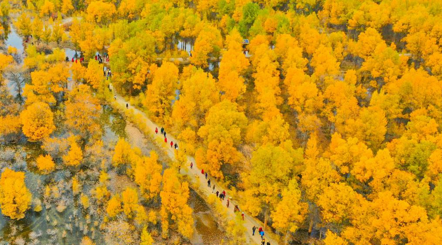 autumn of gansu